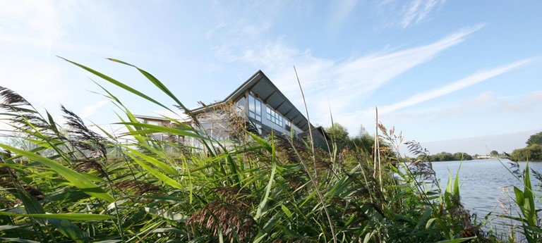 Attenborough Nature Reserve