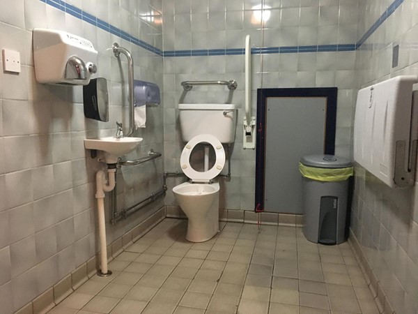 Image of the accessible toilet.