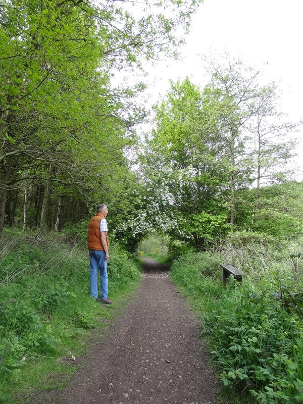 Picture of Vicar Water Country Park