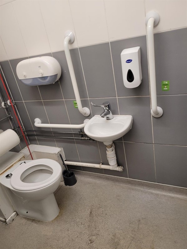 Image of an accessible toilet