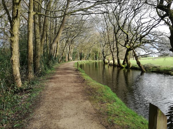 Picture of Goytre Wharf, Abergavenny