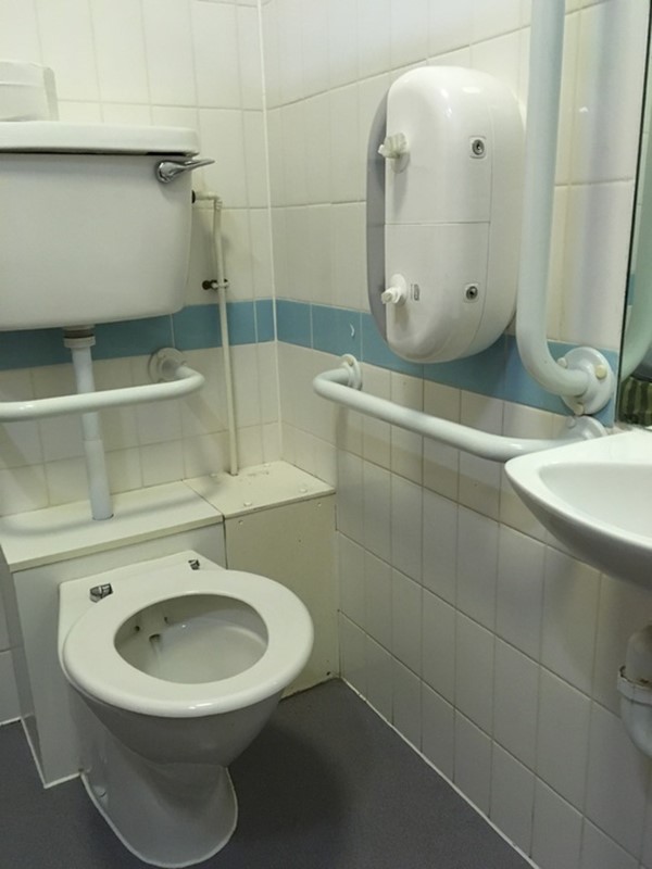 Accessible loo