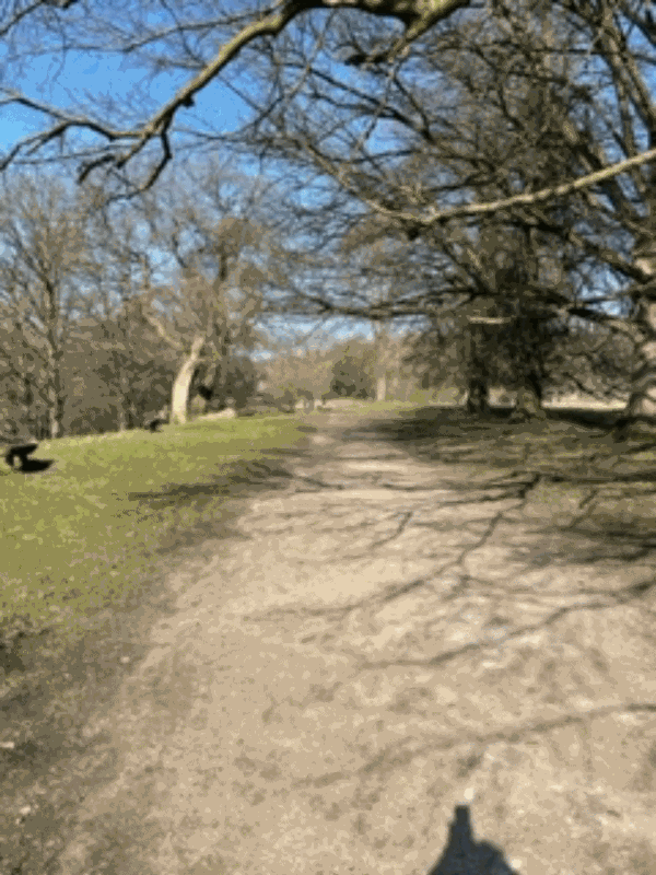 Picture of Derwent Valley Heritage Way, Baslow to Edensor