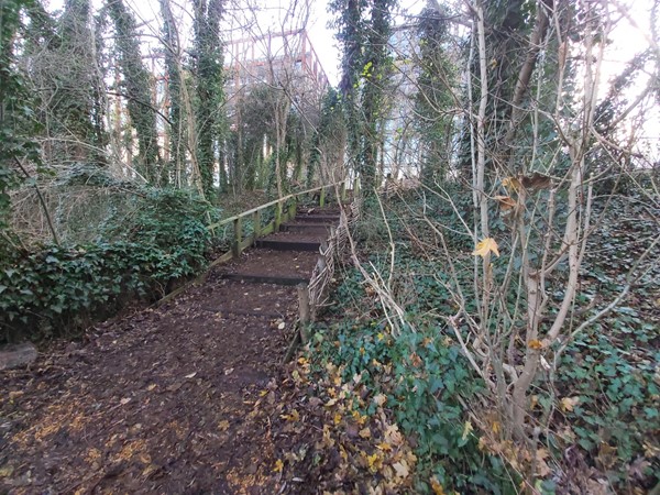 Camley Street Natural Park