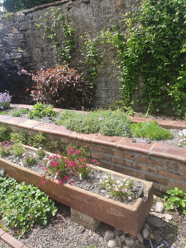 A row of flower beds sitting on different level platforms