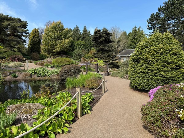 The wheelchair accessible path through the rock garden with a view across the stream