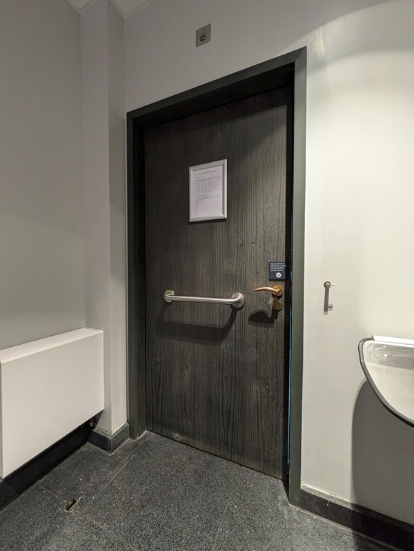 Image of the door of the Changing Places Toilet from inside. The door is black, with a white handrail and gold handle visible.