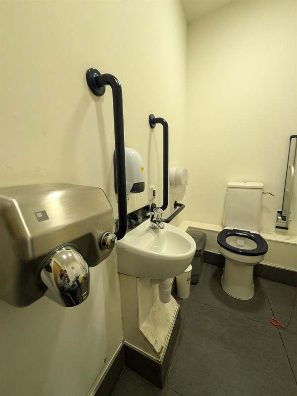 Image of sink and toilet with grab rails on both sides in the accessible toilet