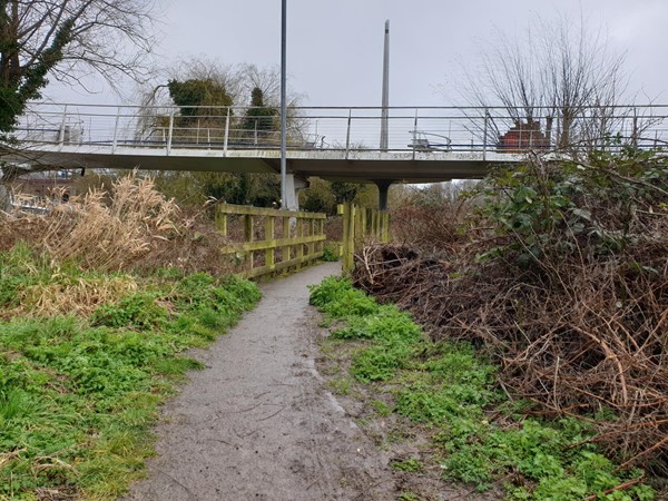 Picture of Logan's Meadow