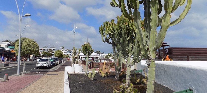 Puerto Del Carmen