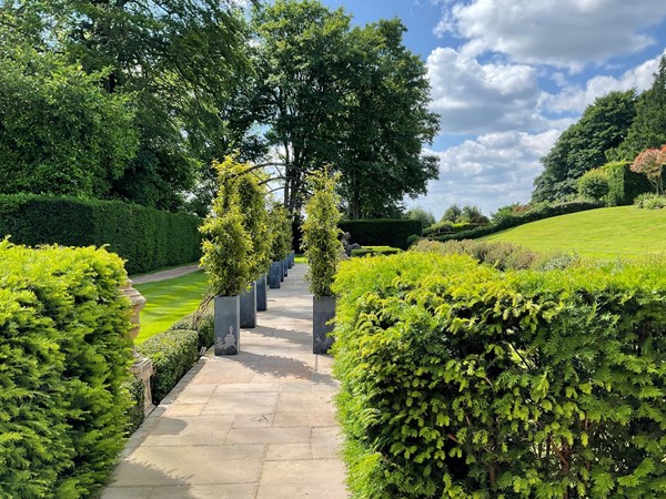 Image of a path with bushes and trees