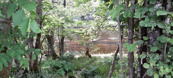 Picture of Fort Augustus Canal Walk