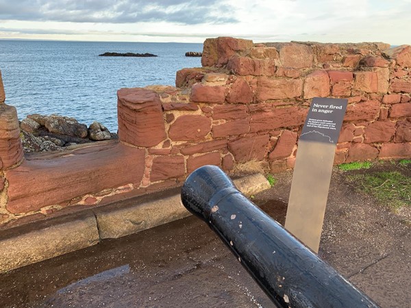 The point of a canon in coming into a photo of the wall and sea