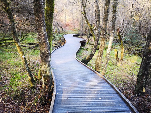 Picture of The Lodge Forest Visitor Centre, Stirling