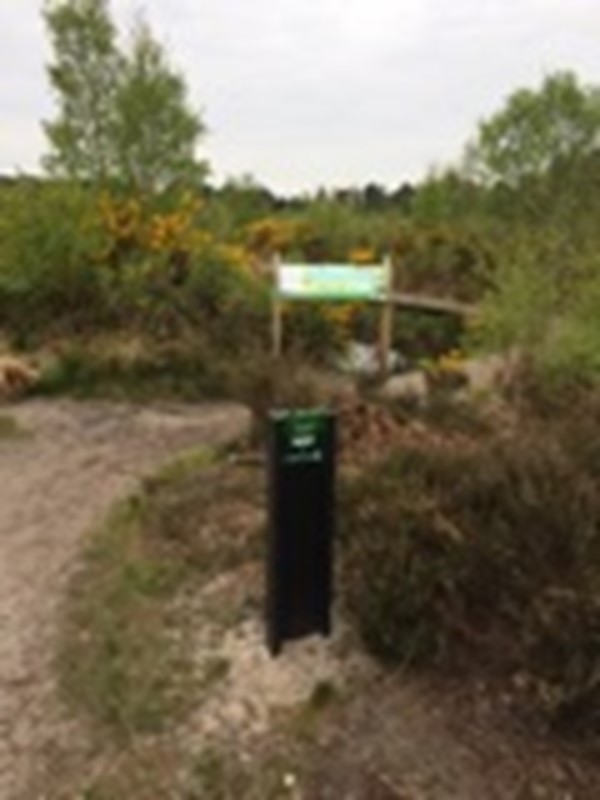 Picture of Thursley National Nature Reserve