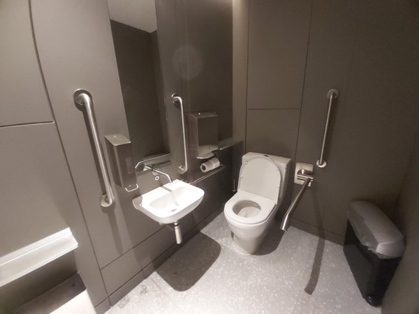 The Lookout accessible toilet