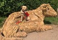 Picture of an assistance dog at Darts Farm