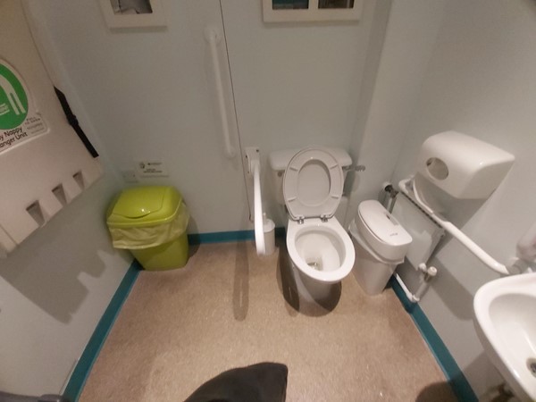 Accessible toilet