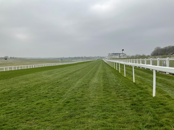 Picture of Epsom Downs Racecourse