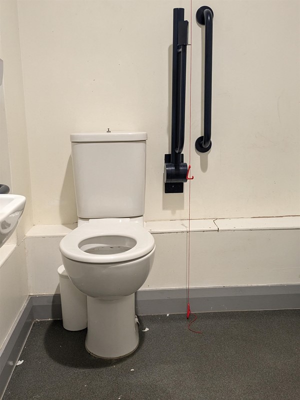 Image of grab rails and the accessible toilet