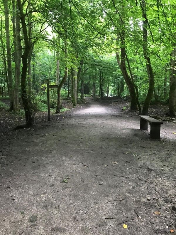 Picture of  Loggerheads Country Park, Mold