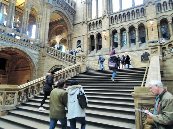 Main staircase