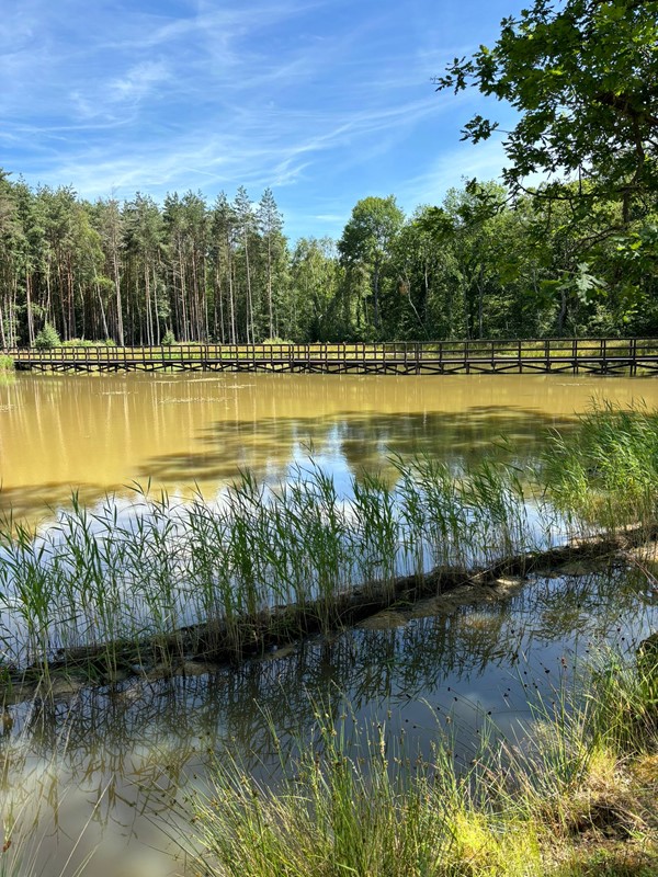 Image of a water pond area.