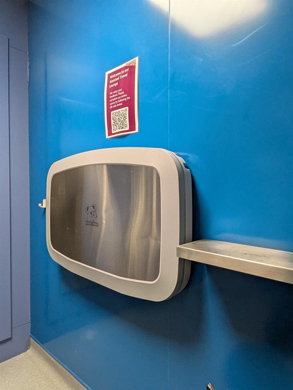 Image of baby change table and Colostomy shelf in accessible toilet