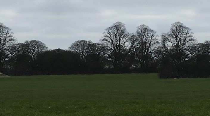 Phoenix Park