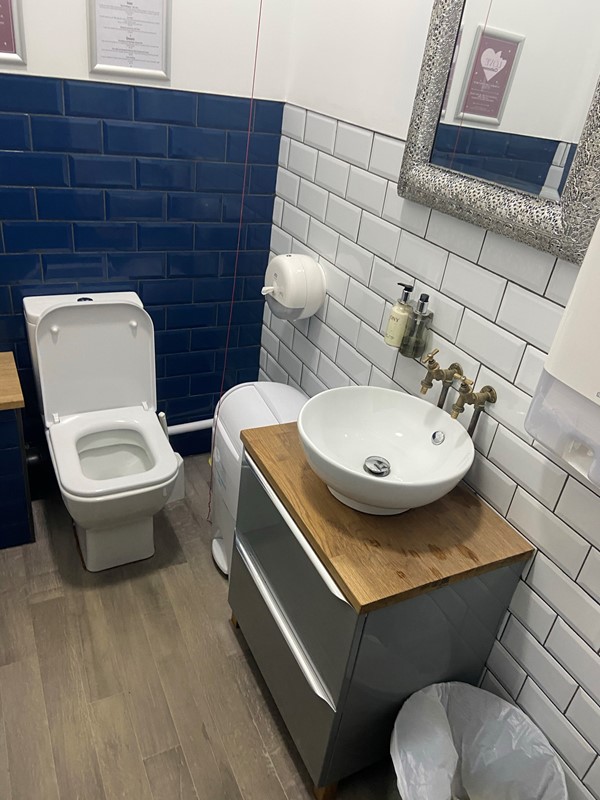 Picture of the accessible toilet