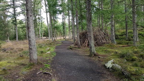 Picture of Devilla Forest Trail, Alloa