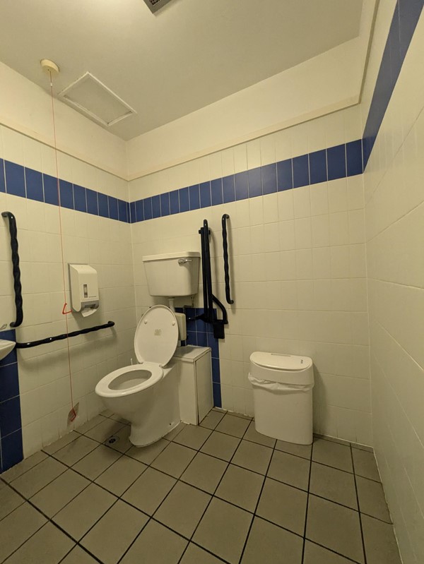 Image of a toilet and a bin