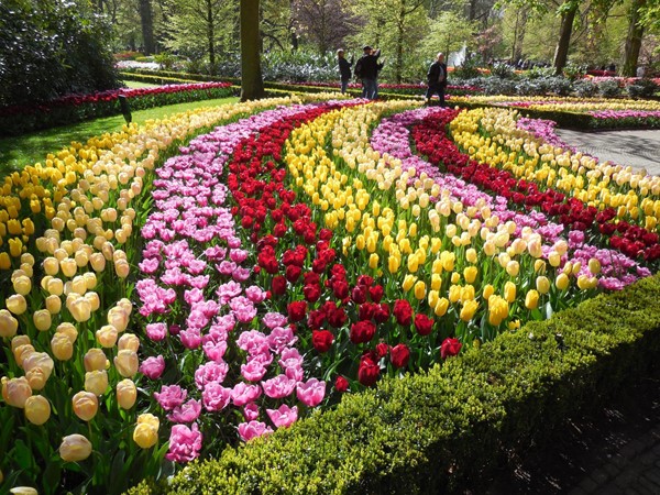 One of the many gardens at the Keukenhof