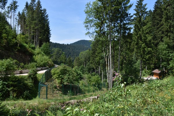 Picture of Alternative Wolf and Bear Park Black Forest, Freudenstadt