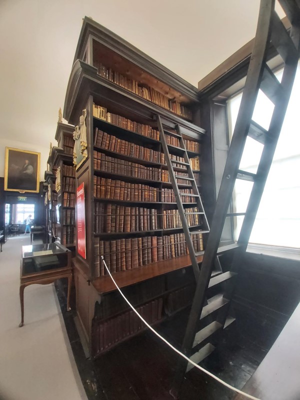 Image of a ladder in a library