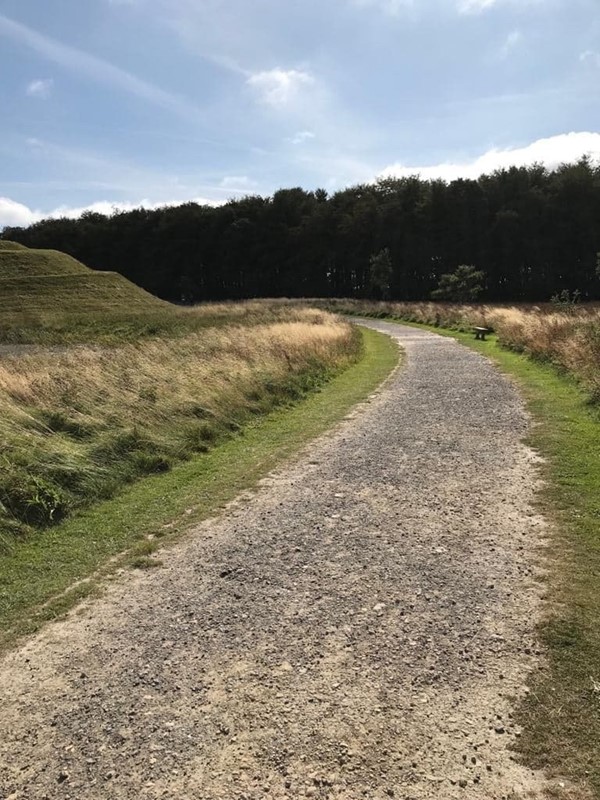 Picture of Northumberlandia