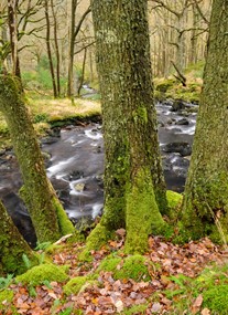 Galloway Forest Park - Glentrool Visitor Centre