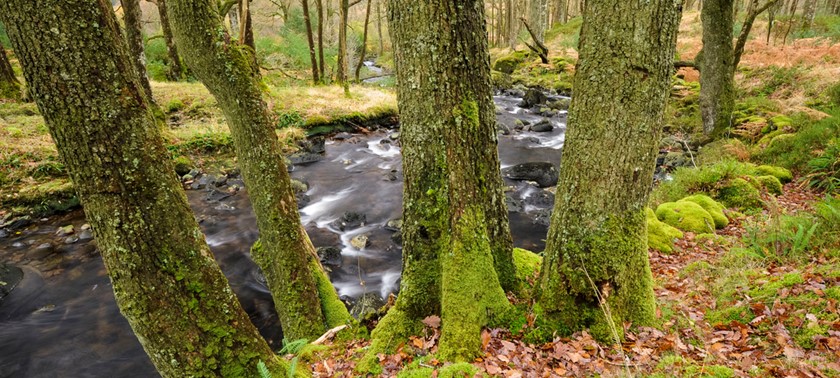 Galloway Forest Park - Glentrool Visitor Centre