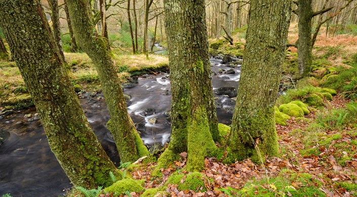 Galloway Forest Park - Glentrool Visitor Centre