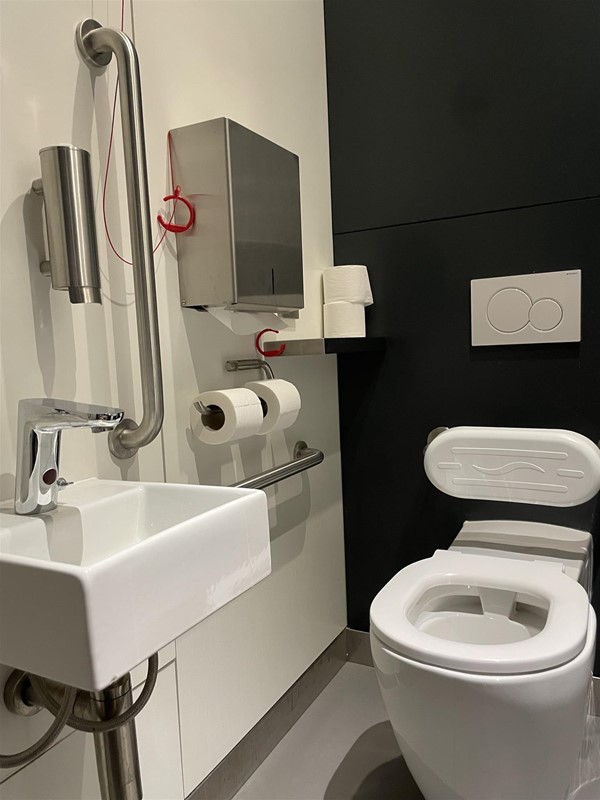 Accessible toilet