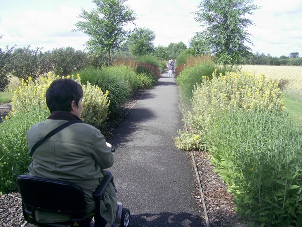 Picture of Breezy Knees Garden