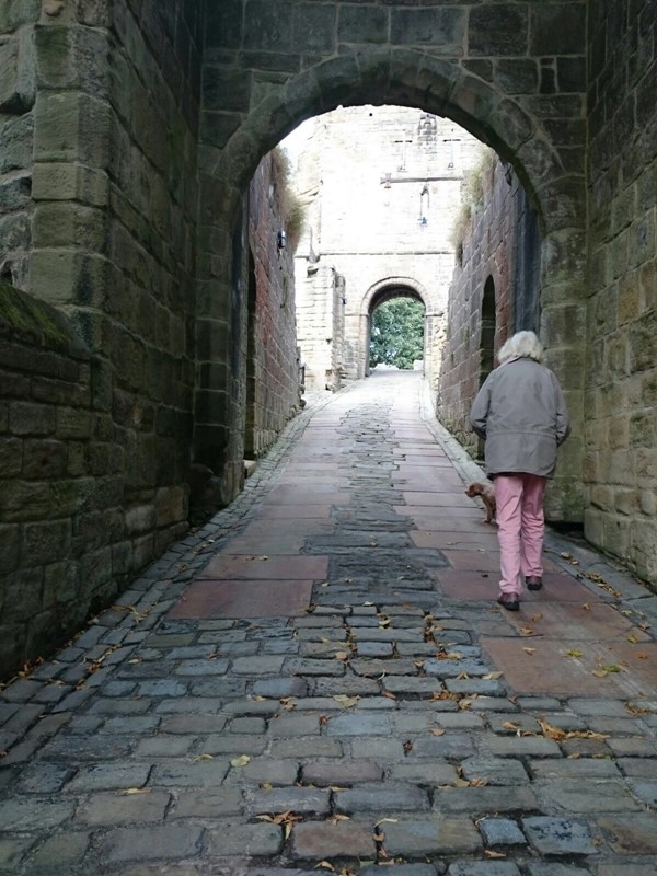 Picture of Prudhoe Castle, Prudhoe