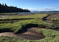 Picure of Billy Frank Jr. Nisqually Wildlife Refuge