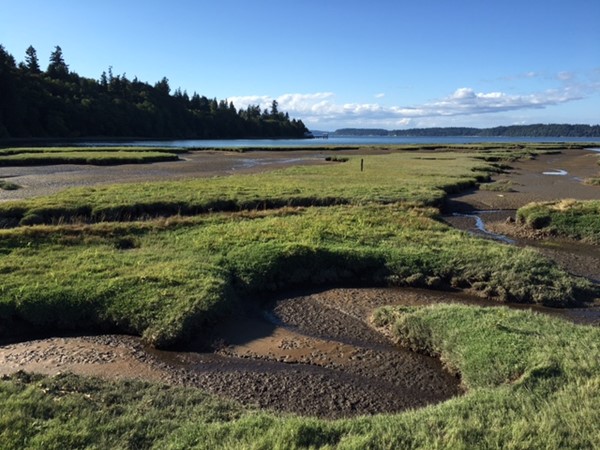 Picure of Billy Frank Jr. Nisqually Wildlife Refuge