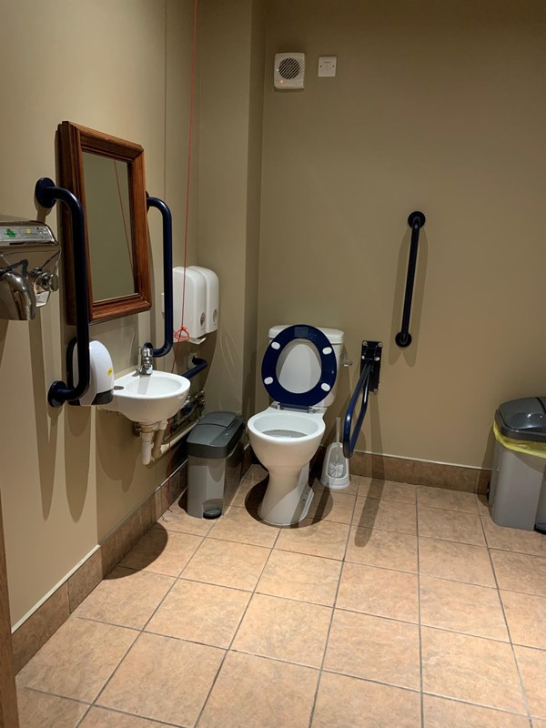 Picture of an accessible toilet