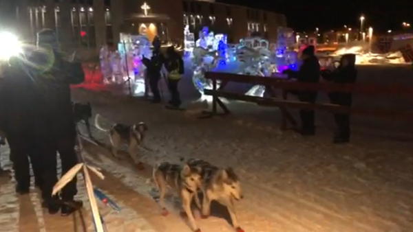 The winning team of the 1200k husky run. Note the wee red boots on the dogs, ice sculptures and Northern Lights Cathedral in background