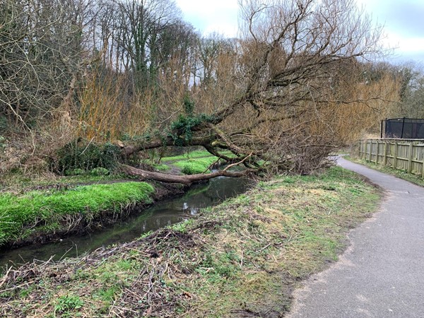 Picture of Brunstane Burn Path