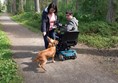 Good wide paths with fine surface in good repair. Dog optional.