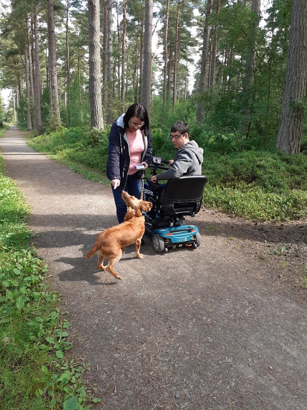 Good wide paths with fine surface in good repair. Dog optional.