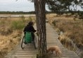 Picture of Thursley National Nature Reserve